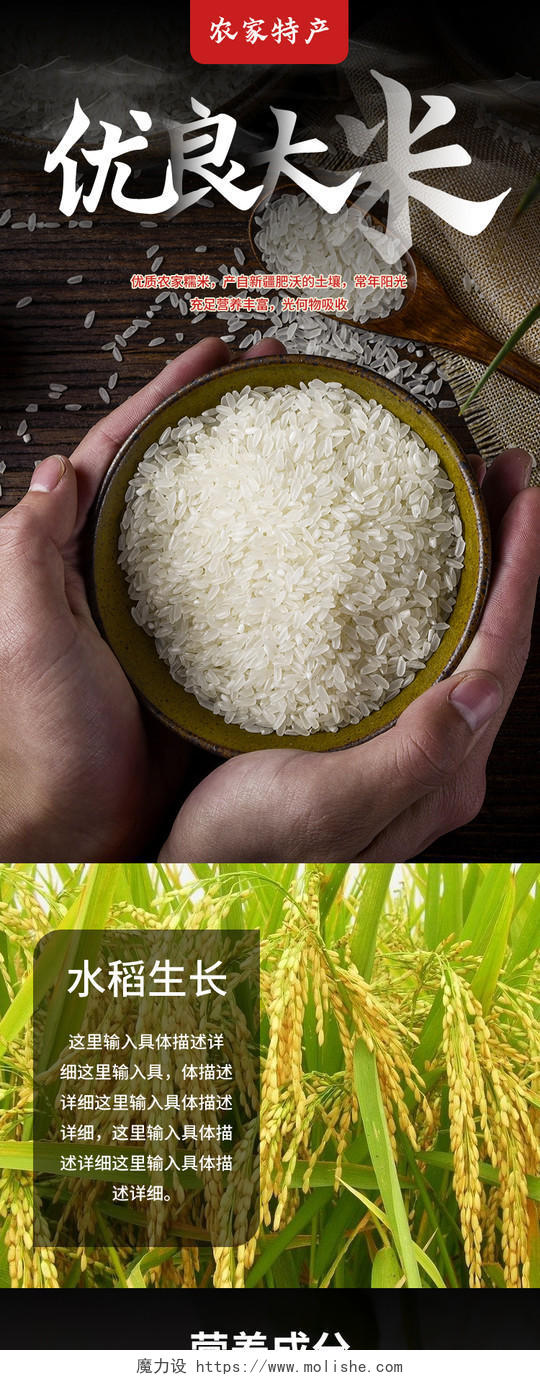 黑色简约高端优良大米农家糯米水稻软米硬米产自新疆大米详情页